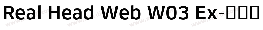 Real Head Web W03 Ex字体转换